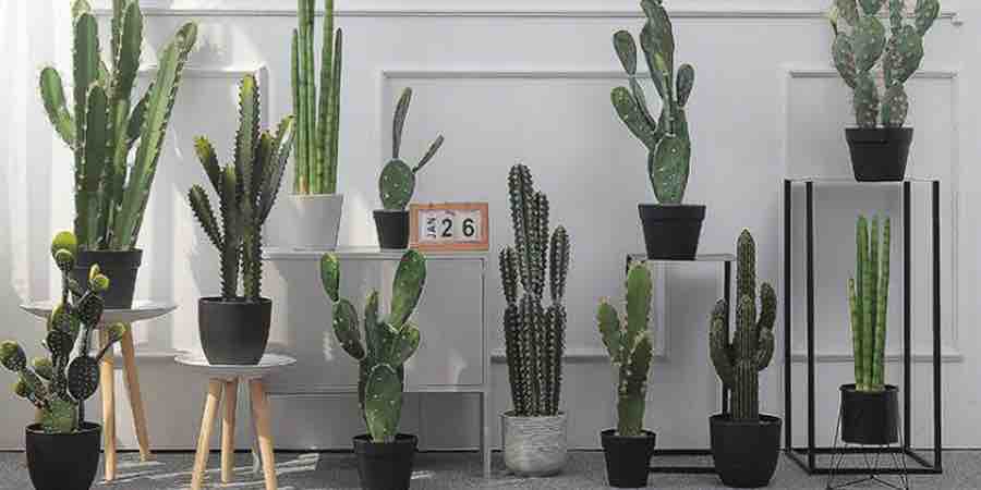 cactus artificial grande