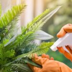 Como limpiar plantas artificiales