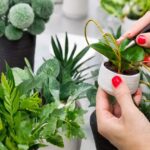 como hacer plantas artificiales en casa